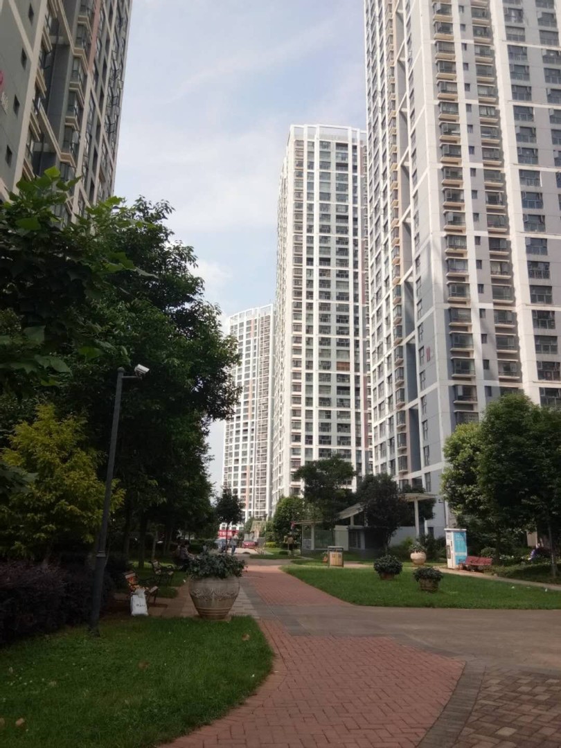 东 天怡峰景花园 2室2厅